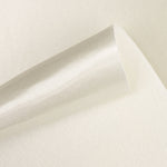 Pearl Gray Rasete Foamized Fabric - Ribes y Casals
