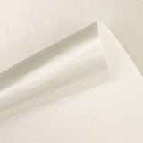 Pearl Gray Rasete Foamized Fabric - Ribes y Casals