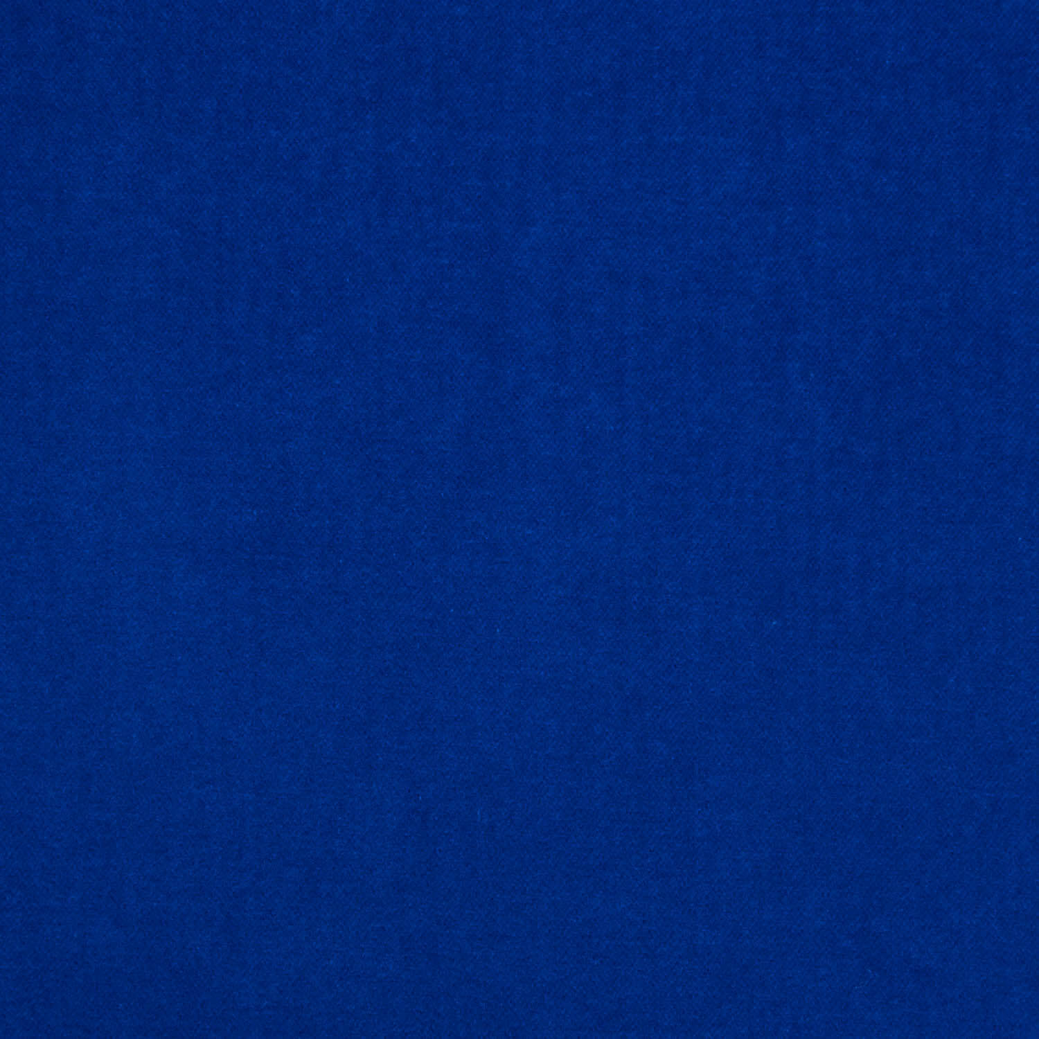 Blue Cotton Velvet - Ribes y Casals