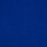 Blue Cotton Velvet - Ribes y Casals