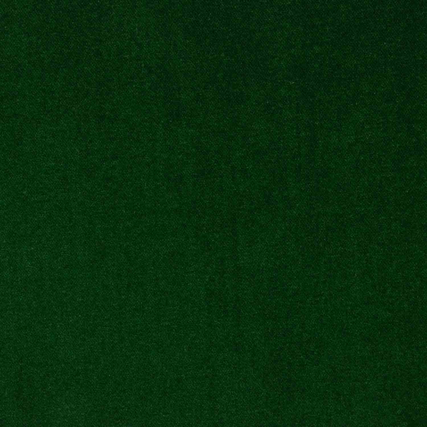 Green Cotton Velour - Ribes y Casals