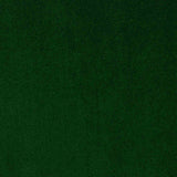 Green Cotton Velour - Ribes y Casals