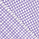 Gingham Basic Lilac Small 40 - Ribes y Casals