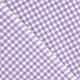 Gingham Basic Lilac Small 40 - Ribes y Casals