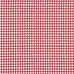 Gingham Basic Red Small 40 - Ribes y Casals