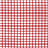Gingham Basic Red Small 40 - Ribes y Casals