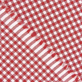 Gingham Basic Red Small 40 - Ribes y Casals