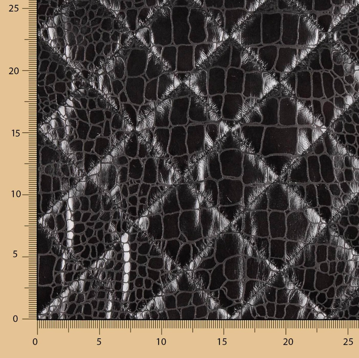 Black Leatherette Padded - Ribes y Casals