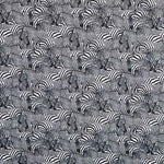 Cotton Real Zebras - Ribes y Casals