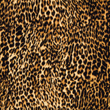 Algodón Leopardo - Ribes y Casals
