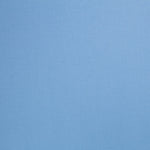 Blue Oxford Cotton - Ribes y Casals