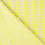 Lime Check Seersucker Cotton - Ribes y Casals