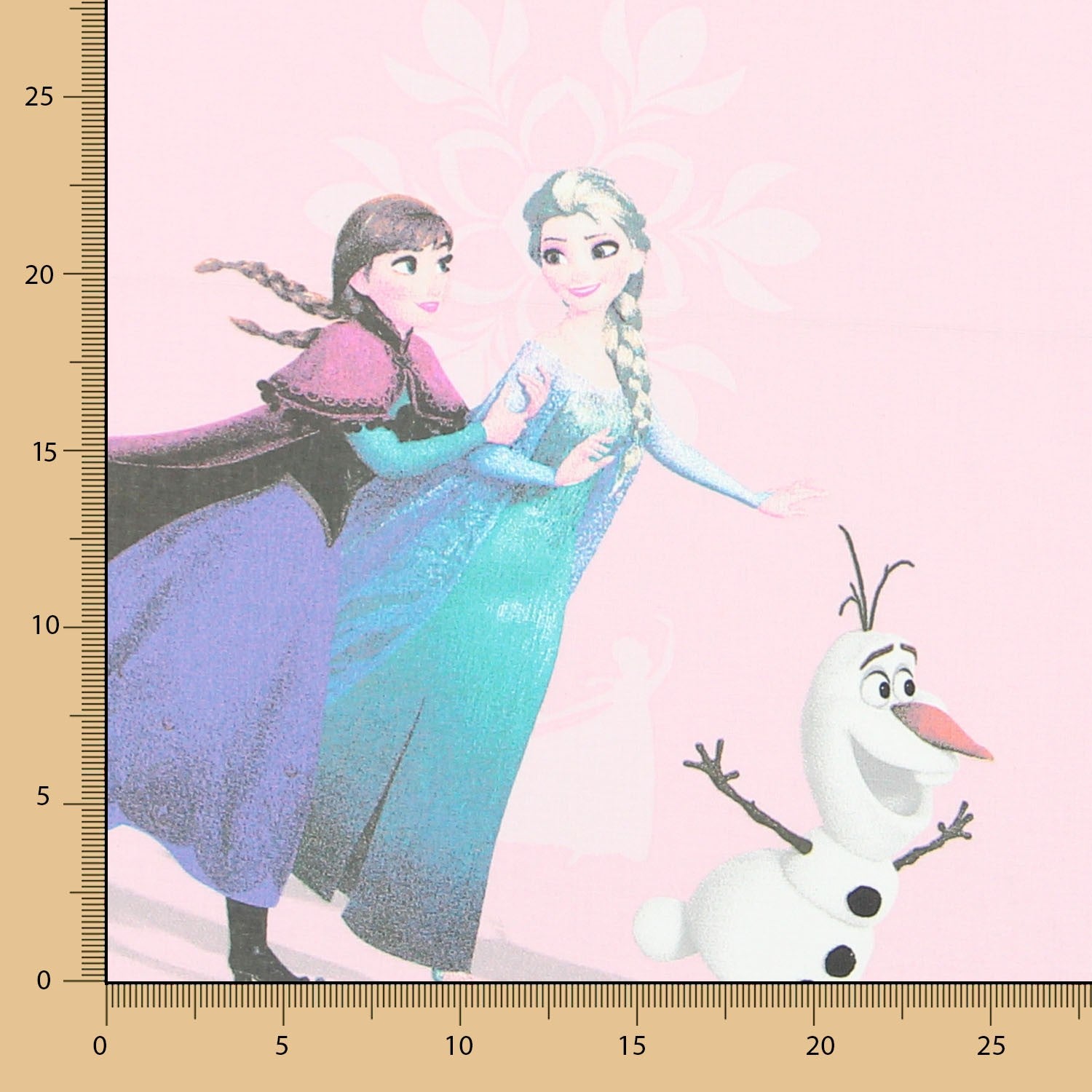 Frozen 2 Print Cotton Pink - Ribes y Casals