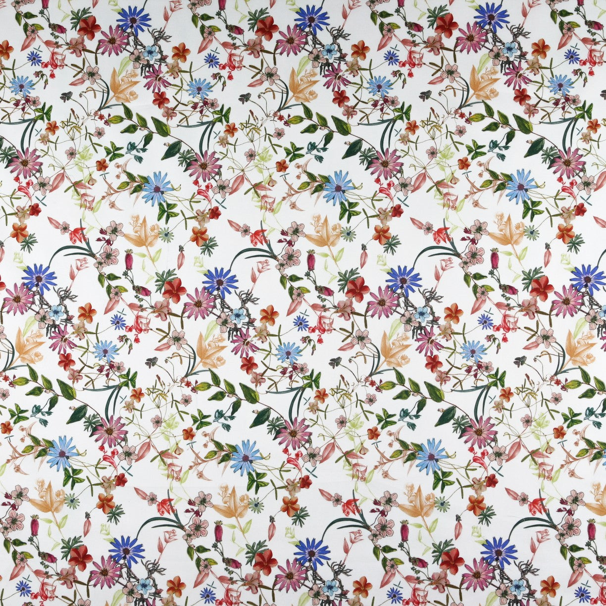 Lycra Cotton Cretonne Ecru - Ribes y Casals