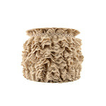 Beige Lace Trim 22 mm - Ribes y Casals