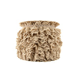 Beige Lace Trim 22 mm - Ribes y Casals