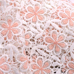 Pink Daisy draft - Ribes y Casals