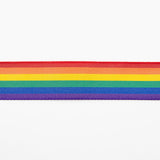 Rainbow Flag Ribbon - Ribes y Casals
