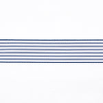 Blue Striped Ribbon - Ribes y Casals