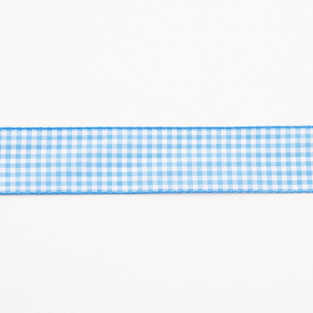 Baby Blue Gingham Ribbon - Ribes y Casals