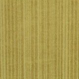 Ribbed Velvet Oil - Ribes y Casals