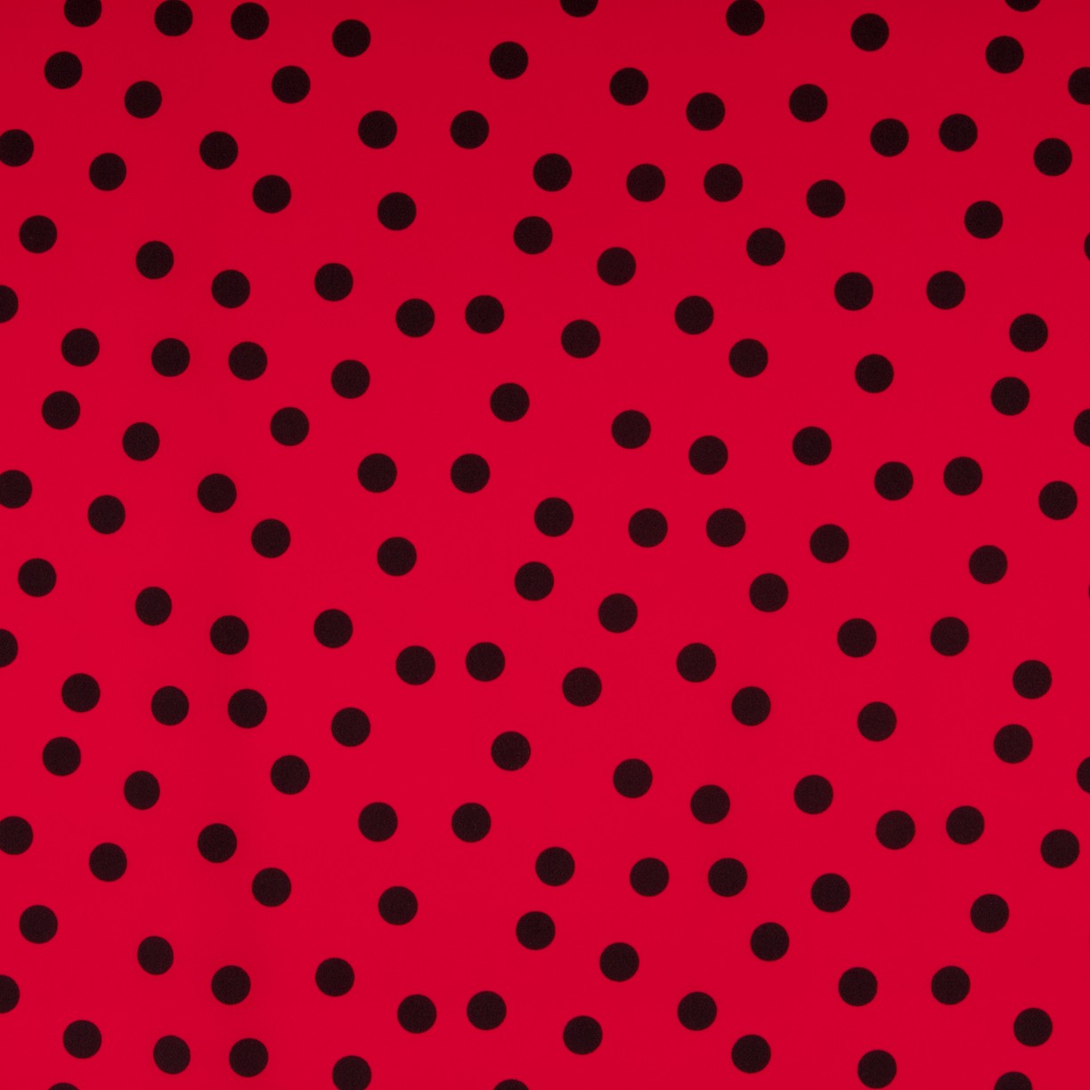 Crepe Dots Black 17mm Red - Ribes y Casals