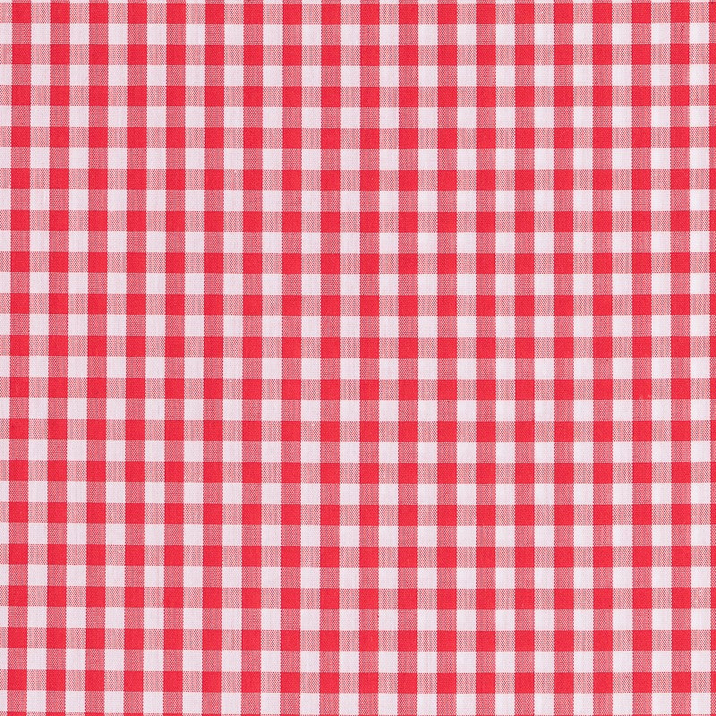 Gingham Check Red 7mm - Ribes y Casals