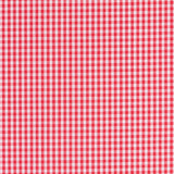 Gingham Check Red 7mm - Ribes y Casals