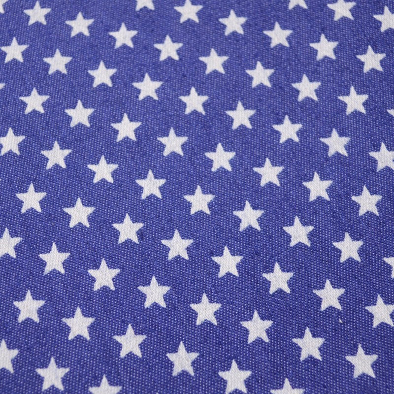 Denim Printed Stars - Ribes y Casals