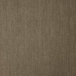 Taupe Cotton Denim - Ribes y Casals