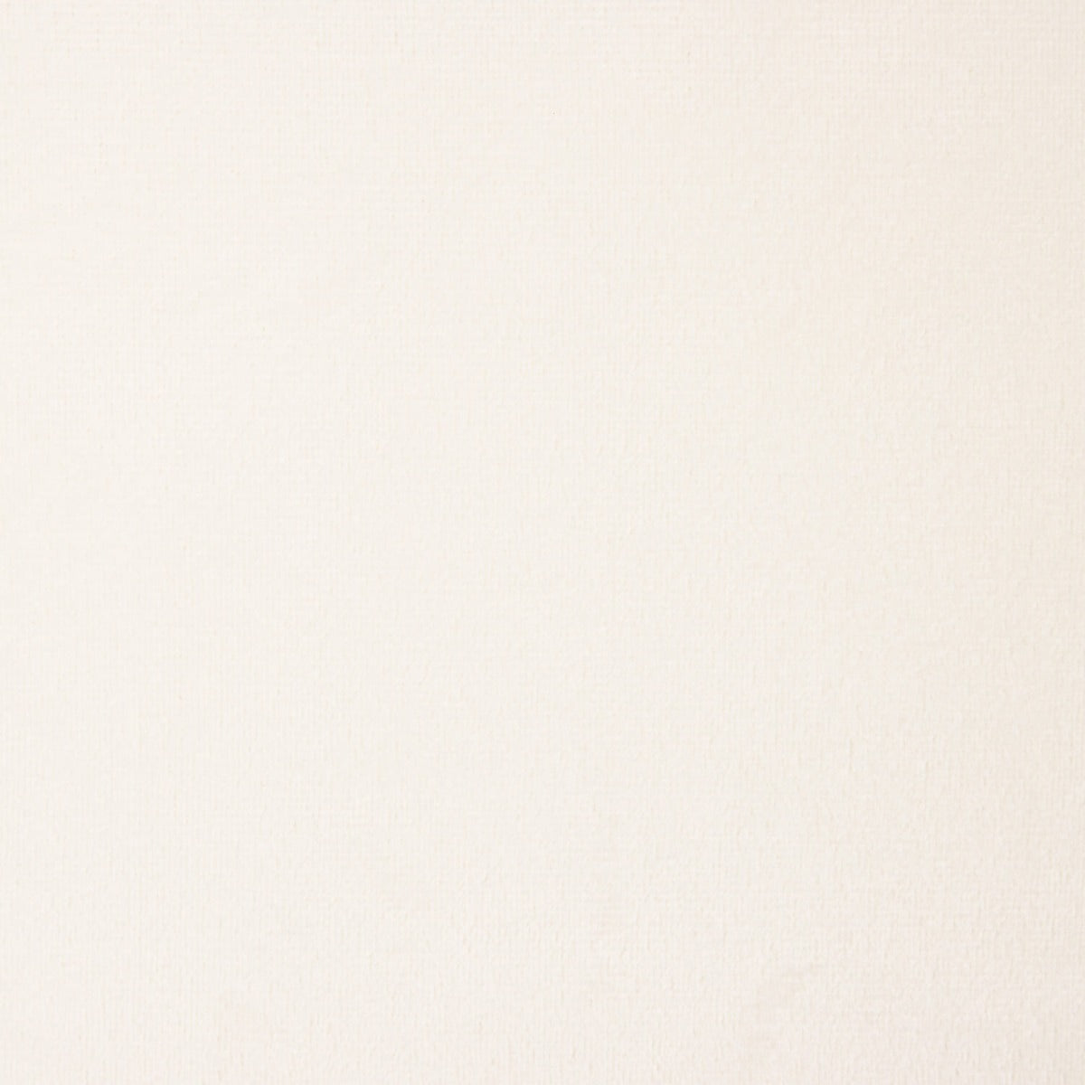 Double-Sided Minky y Polar – Natural - Ribes y Casals