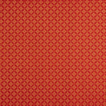 “Golden Star” Cotton Poplin - Ribes y Casals