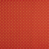 “Golden Star” Cotton Poplin - Ribes y Casals