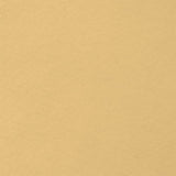 Felt Crafts Tan - Ribes y Casals