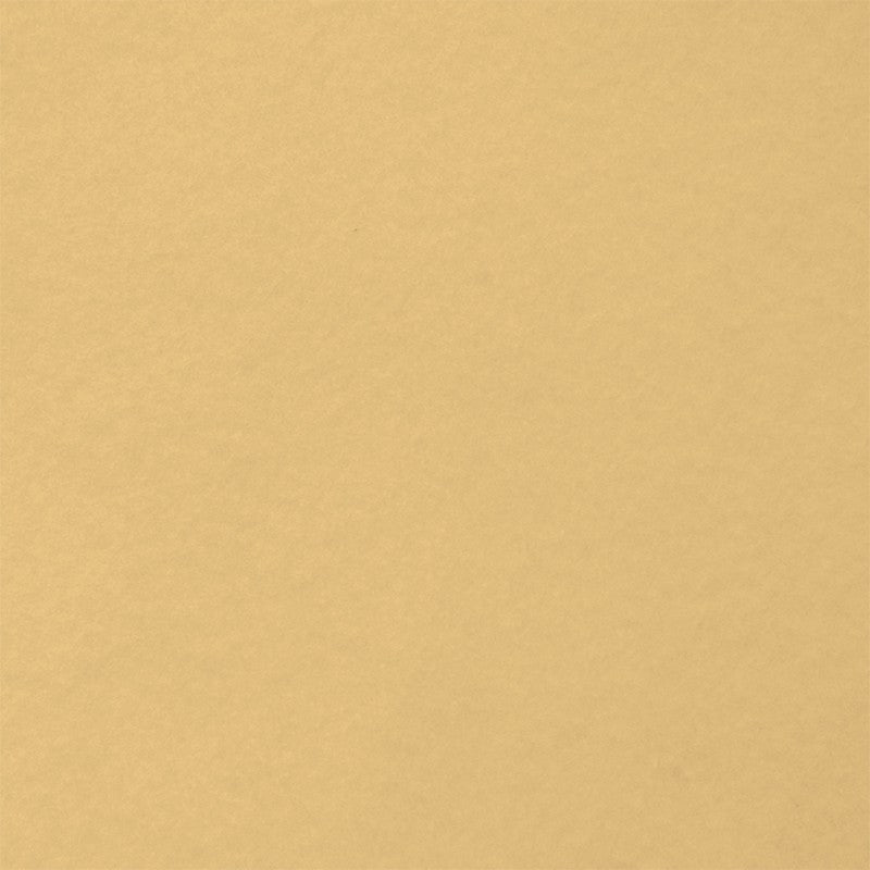 Felt Crafts Tan - Ribes y Casals