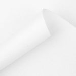 Felt White 180g - Ribes y Casals