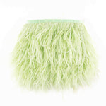 Feather Fringe Plus Mint - Ribes y Casals