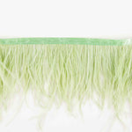 Feather Fringe Plus Mint - Ribes y Casals