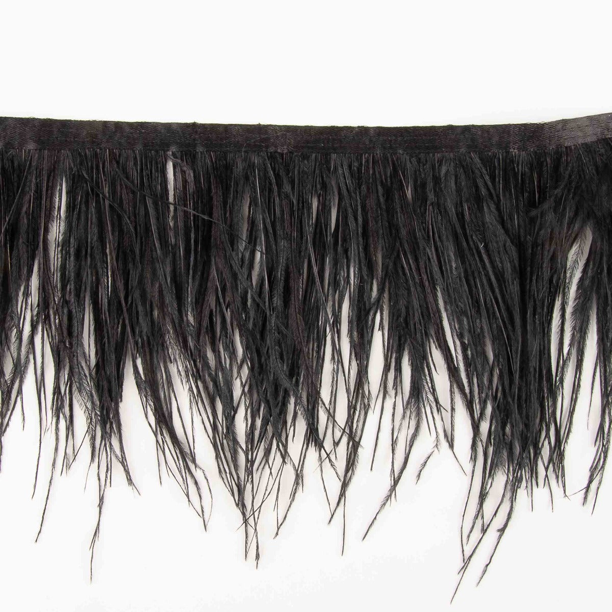 Feather Fringe Plus Black - Ribes y Casals