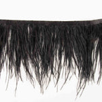 Feather Fringe Plus Black - Ribes y Casals