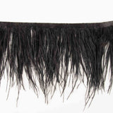 Feather Fringe Plus Black - Ribes y Casals