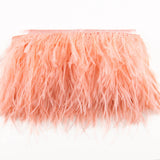 Ostrich Feather Trim Pink - Ribes y Casals