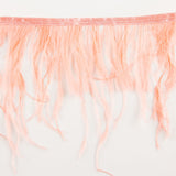 Ostrich Feather Trim Pink - Ribes y Casals