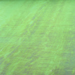 Nacar Green Foam - Ribes y Casals
