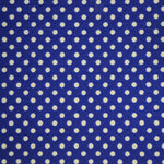 Ground Blue Dot White - Ribes y Casals