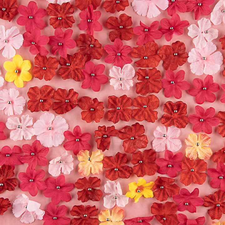 Crimson Red Garden Tulle with 3D Floral Design - Ribes y Casals