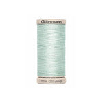 Special Patch Thread Aqua Green - Ribes y Casals