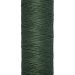 Gütermann yarn 100m colour 164 Pale Green - Ribes y Casals