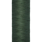 Gütermann yarn 100m colour 164 Pale Green - Ribes y Casals