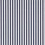 Cotton Fabric Blue Vichy - Ribes y Casals